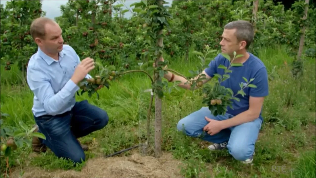 Still from Grow, Cook, Eat, RTÉ One, 2018