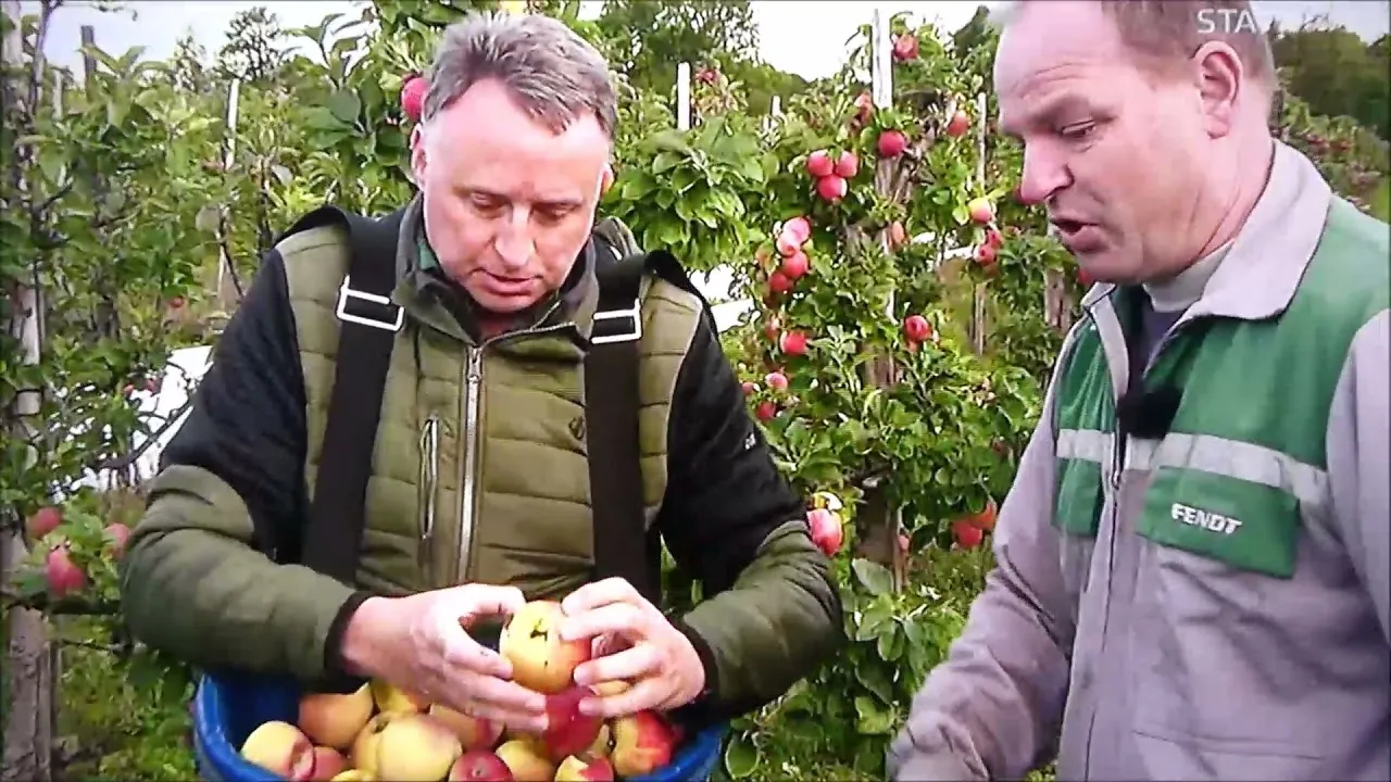 Still from Nationwide, RTÉ One, 2021